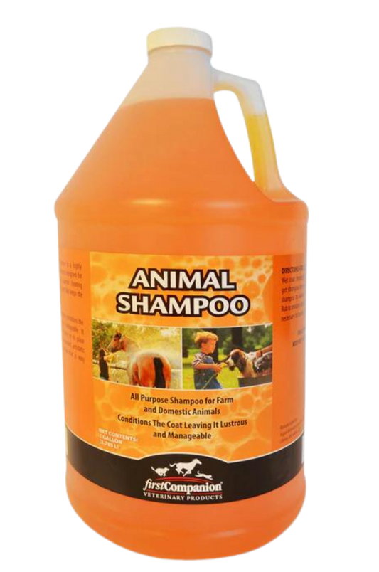 FIRST COMPANION ANIMAL SHAMPOO