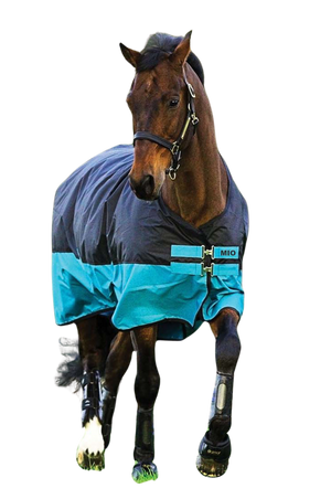 A horse wearing a blue and black Horseware Mio Turnout Lite Sheet with leg arches and surcingle closures.