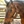 TS Sale/Show Halter Adjustable Chin With Snap