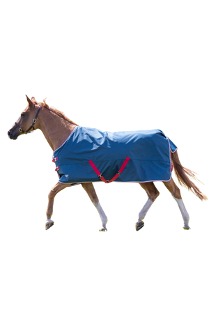 Shires Tempest Original Lite Turnout Sheet