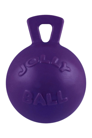 Dog toys designed to be thrown for retrieval, one red and one blue, with the text 'JOLLY BALL' embossed on them.