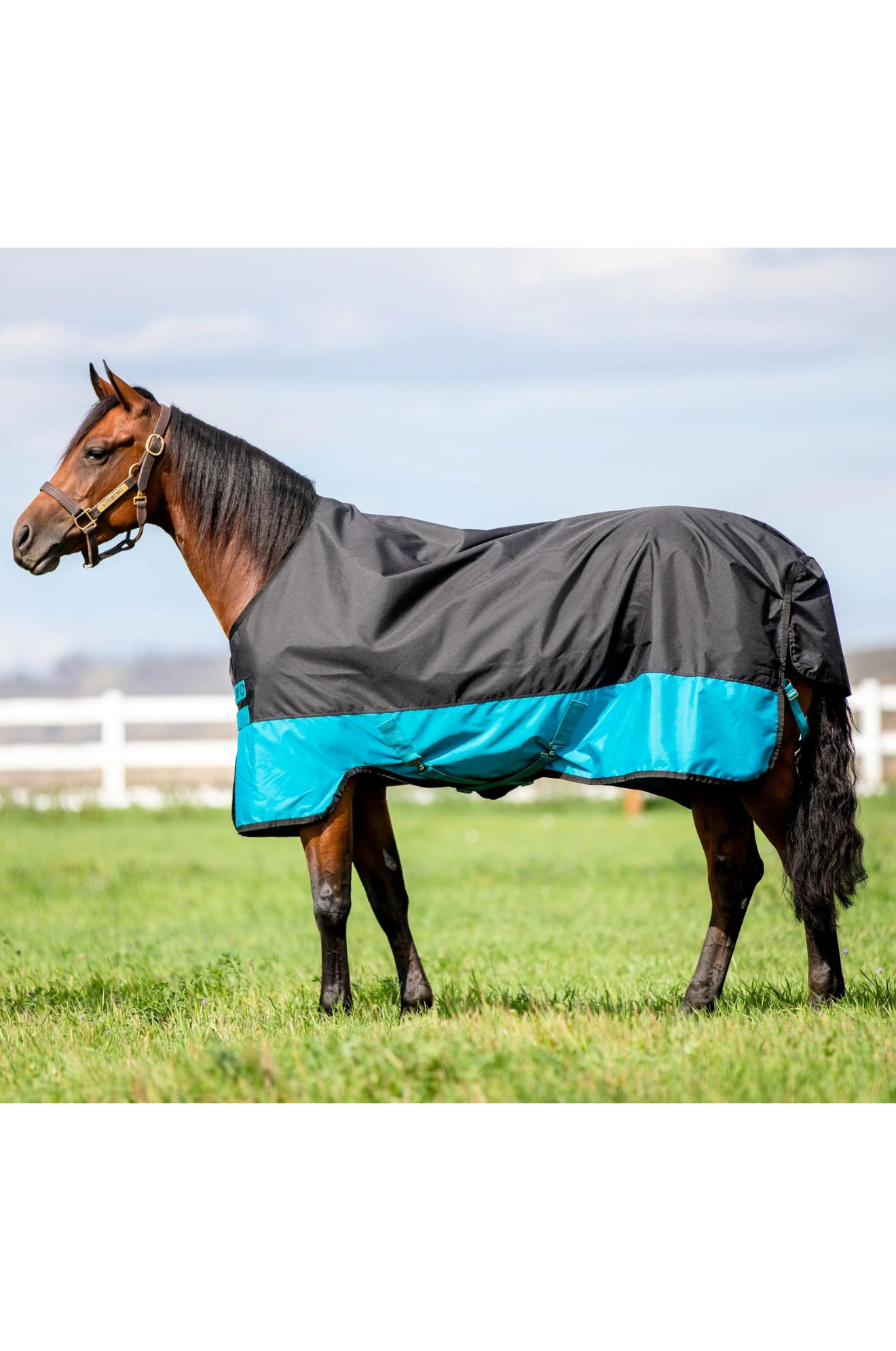 HORSEWARE MIO TURNOUT MEDIUM BLANKET 200G