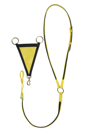 TS Martingale With Fork