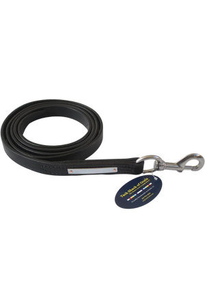 A black leather horse lead with a brass snap, coiled and displayed against a white background.