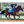 race horse