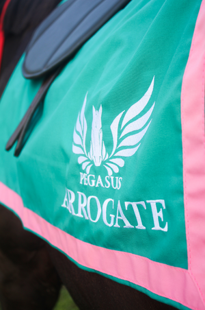 A custom saddle towel with blue, white, and pink colors, featuring embroidery on the sides.