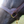 A brown leather stallion horse halter with solid brass hardware, shown on a horse's head.