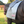A gray custom embroidered saddle pad with pink embroidery on the sides.