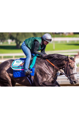 race horse