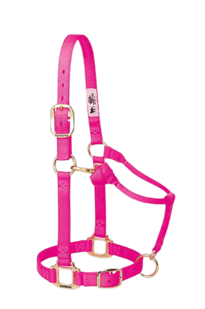 Weaver Nylon Adjustable Chin w/Snap Halter