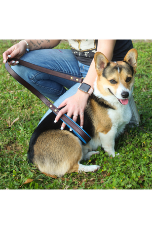 TS Custom Leather Dog Leash