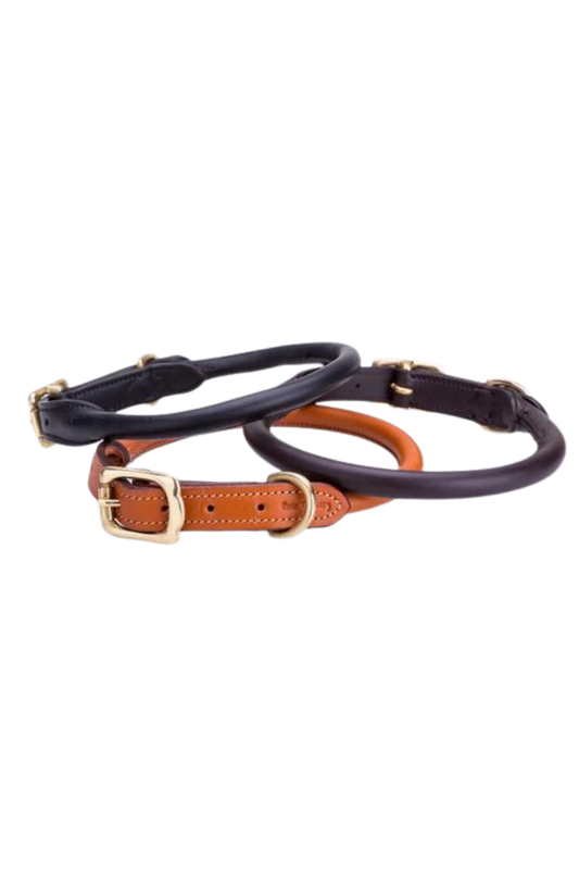 TS LEATHER ROLLED DOG COLLAR
