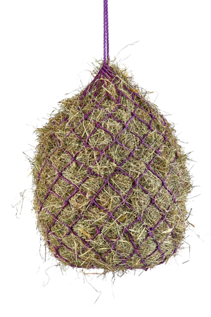 A purple haylage net filled with hay.
