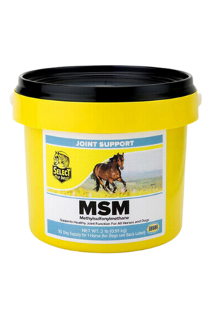 A yellow plastic tub labeled 'MSM Joint Support' with an image of a horse on the label.