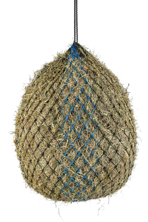 A haylage net with a blue trim, designed for feeding horses.