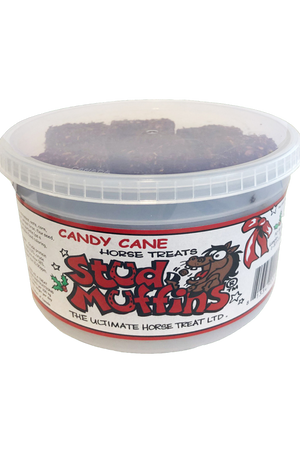 CANDY CANE HORSE TREATS STUD MUFFINS