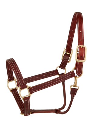 A brown horse wearing a Walsh British Triple Stitch Halter with English hand rubbed bridle leather, featuring contrasted Havana leather and white thread, solid brass hardware, adjustable crown, and a rolled throat with snap.