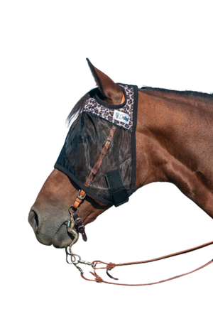 A brown horse wearing a black Quiet Ride Designer Horse Fly Mask, fastened securely over the bridle.