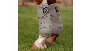 Horse legs wearing protective leg wraps on a grassy field