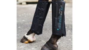 Horse leg with black protective boot on a street background