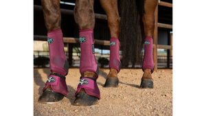 Horse legs wearing pink protective boots on a dirt ground.