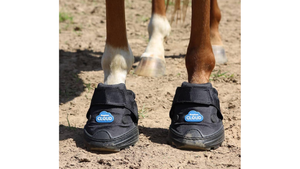Horse hooves with protective boots on a dirt ground