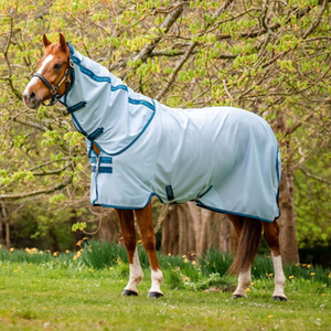 Horse wearing a light blue fly sheet with a hood in a grassy area with trees.