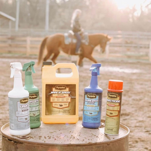 Pawfect Pet products on a wooden surface with a horse in the background
