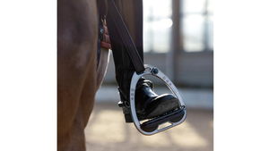 Close-up of a horse's foot with a metal stirrup, blurred background