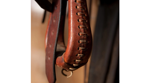Close-up of a brown leather strap with decorative patterns on a blurred background