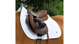 Brown saddle on a horse with a white saddle pad, brand 'Tecna' visible