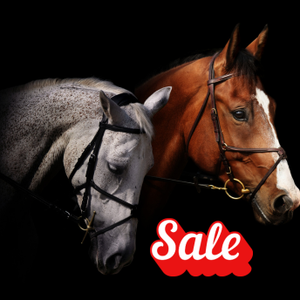 Two horses with blinders on a black background and a 'Sale' label.