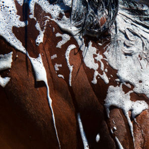 Close-up of a chocolate surface with white foam