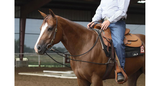 Person riding a brown horse in an indoor arena