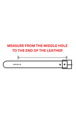 TS Leather Rolled Dog Collar