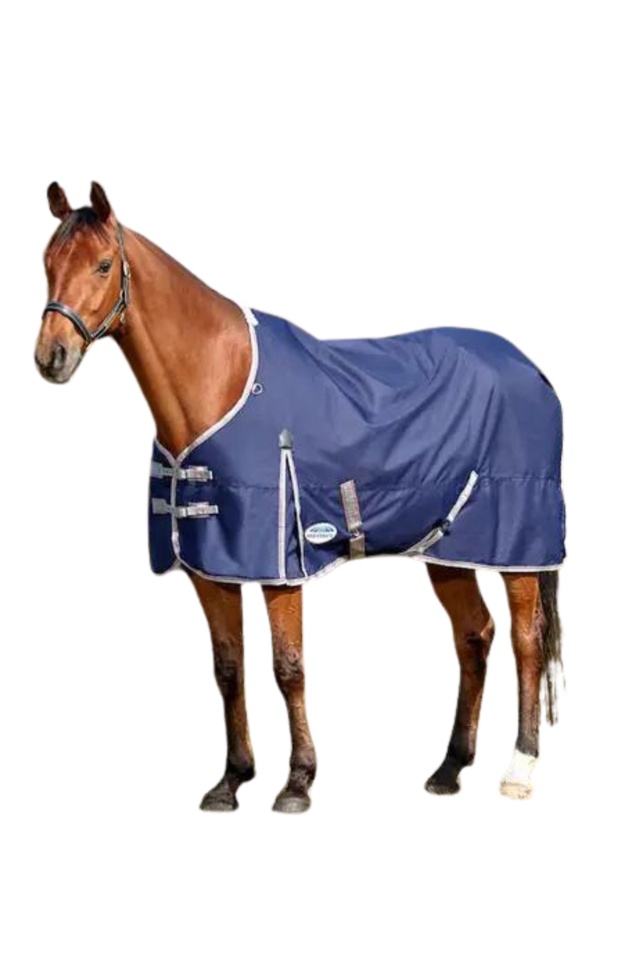 WEATHERBEETA COMFITEC ESSENTIAL STANDARD NECK LITE TURNOUT SHEET