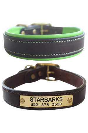 leather dog collar with padding, custom dog collar, brass hardware, chrome hardware
