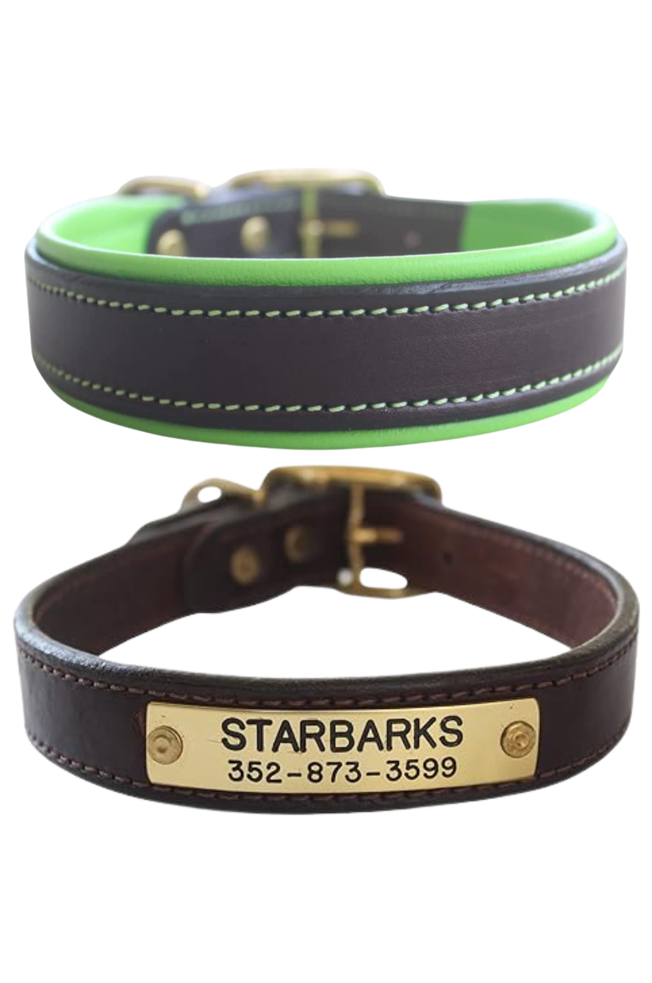 TS Custom Leather Dog Collar – Tack Shack Of Ocala