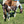 TS Leather Figure 8 Foal Halter