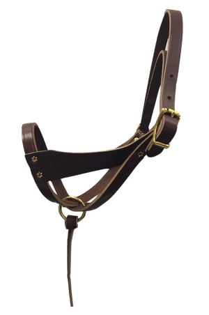 TS Leather Figure 8 Foal Halter