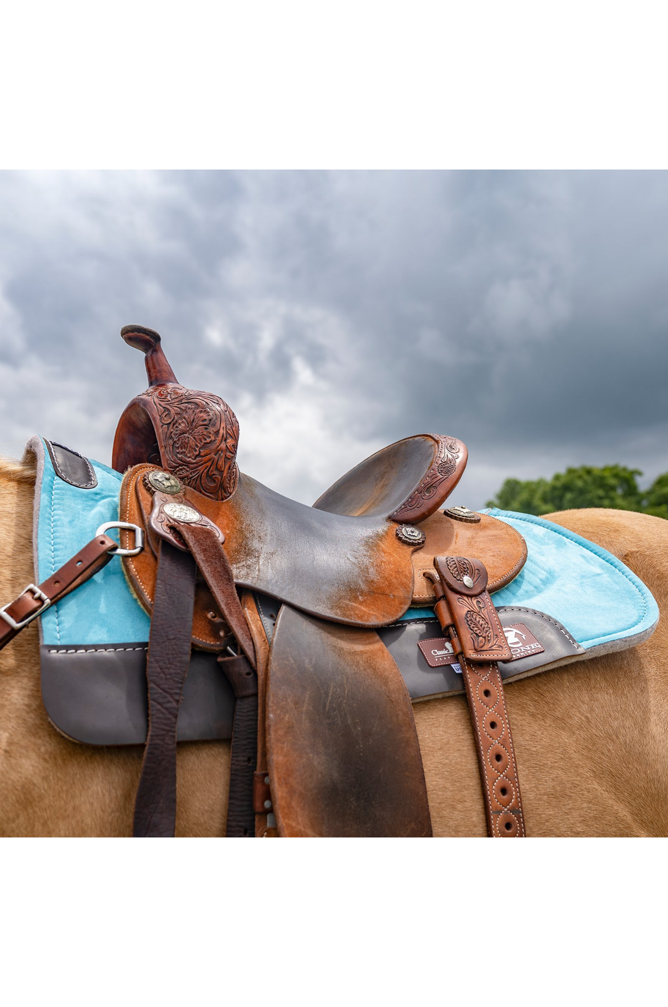 Zone_Micro_Suede_Pad_34_inch_Felt