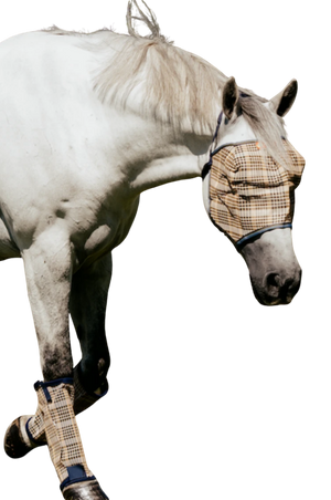 5A Baker Fly Mask No Ears