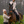 desi_sand_full