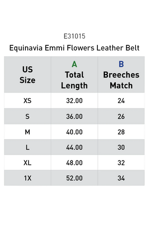 emmi_belt_chart