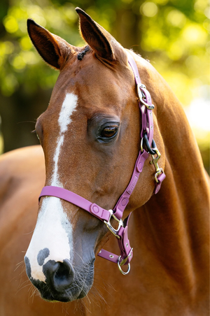 FieldFlex Halter