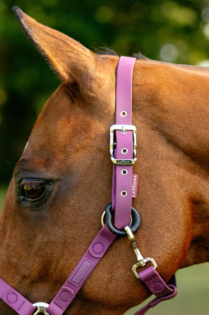 FieldFlex Halter