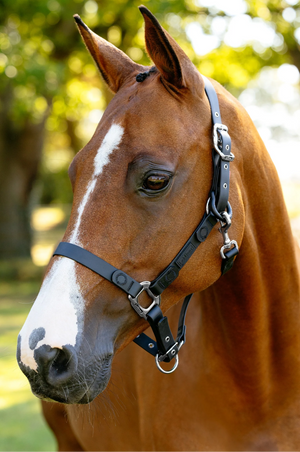 FieldFlex Halter