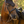 Heritage Fly Hood - F2026
