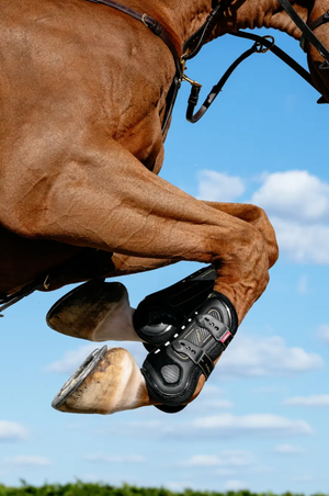 Impact Pro Tendon Boots