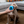 Dog playing with a blue toy held by a person in a living room setting.
